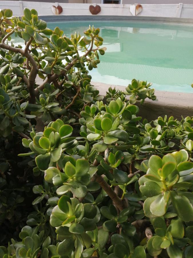 Swartberg Guest House Каледон Екстериор снимка