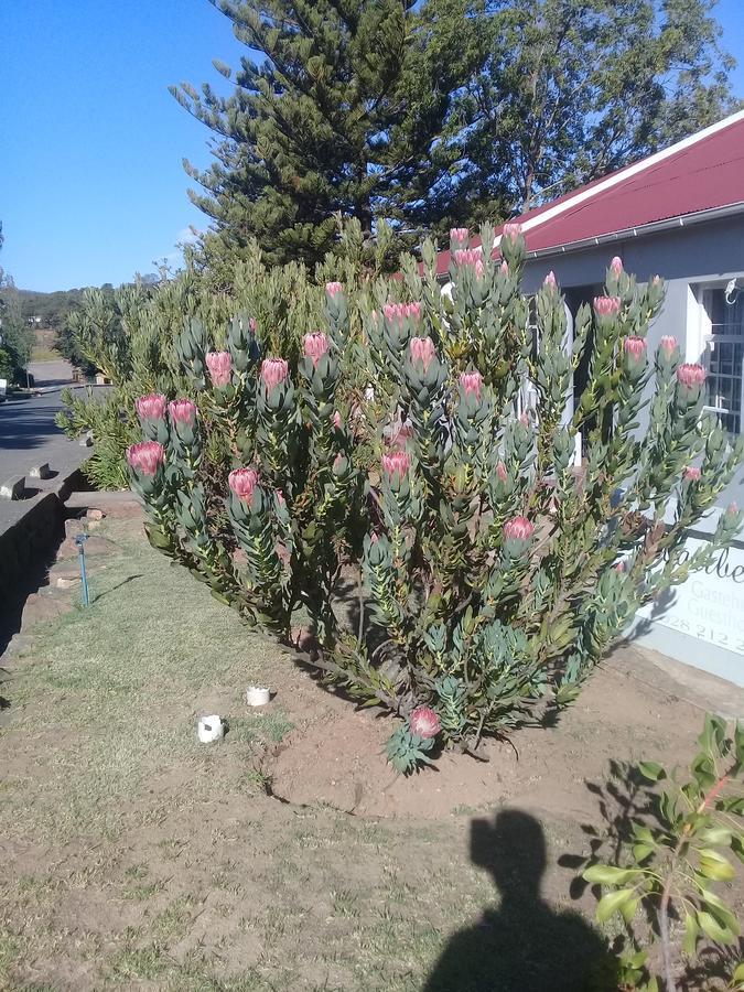 Swartberg Guest House Каледон Екстериор снимка